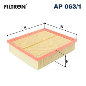 FILTRON Vzduchový filtr AP 063/1
