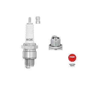 NGK Zapalovací svíčka (5510)