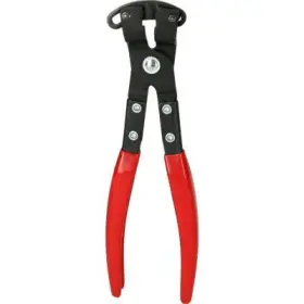 Kliešte hasáky